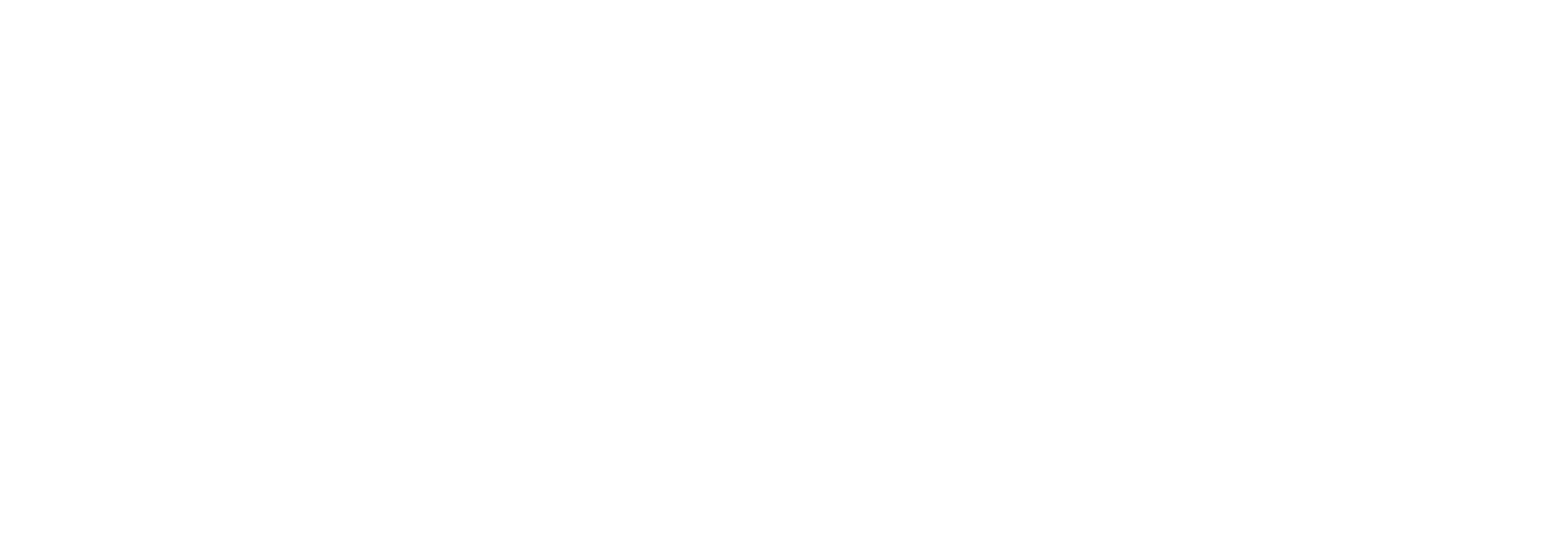 WordPress logotype standard white