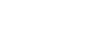 femalevision logo negativ nur schriftzug reduced